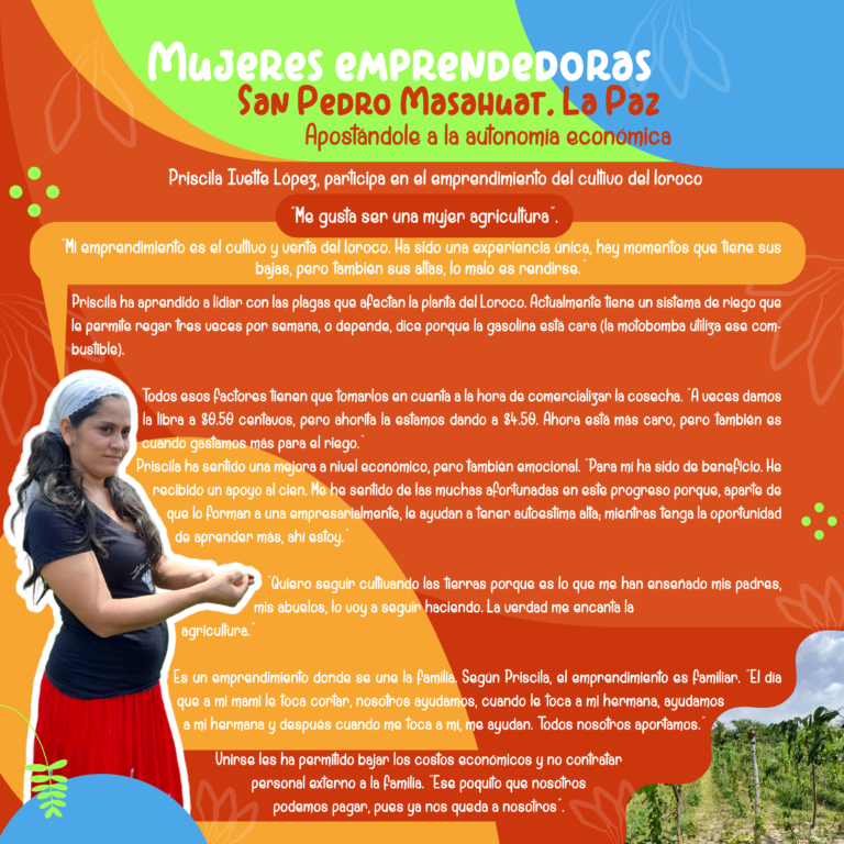 Read more about the article Priscila López